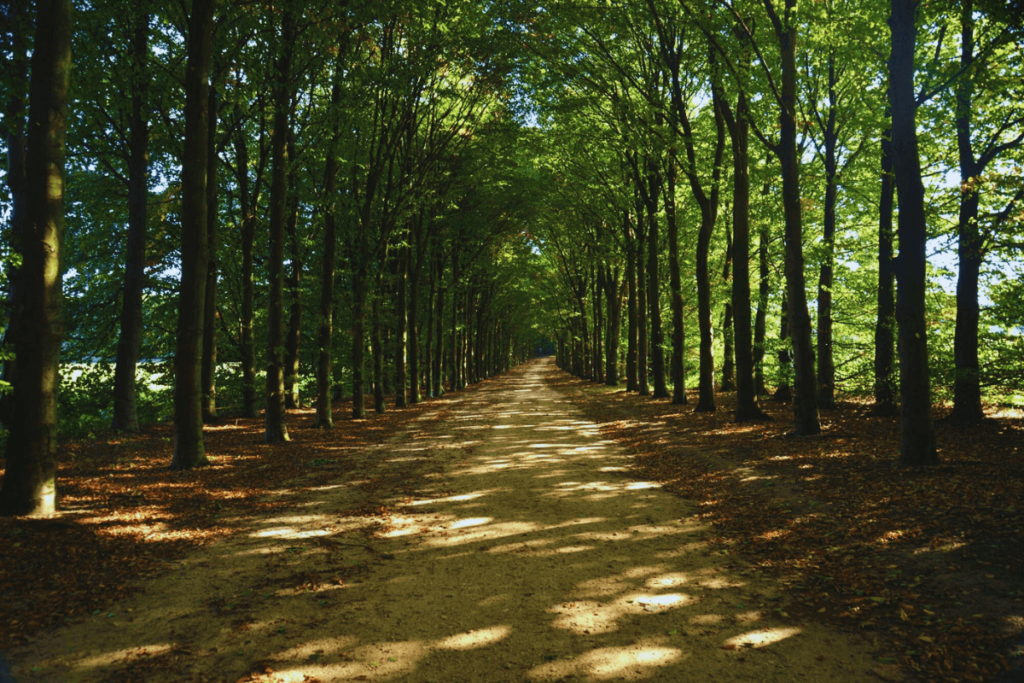 8-Greenery-for-a-Breath-of-Fresh-Air