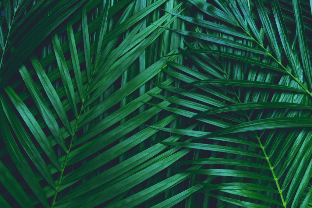 Step-6-Embrace-Greenery