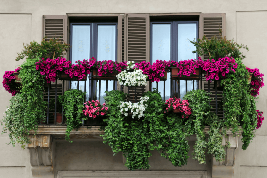 2-Vertical-Plant-Selection