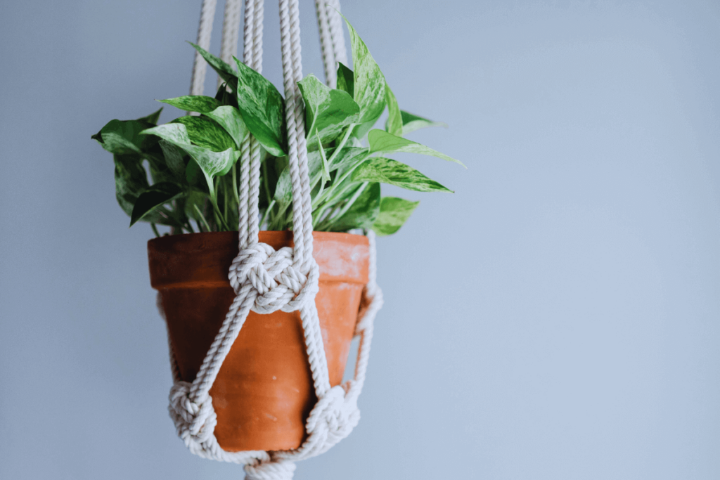 4-Hanging-Baskets-and-Macramé-Plant-Hangers