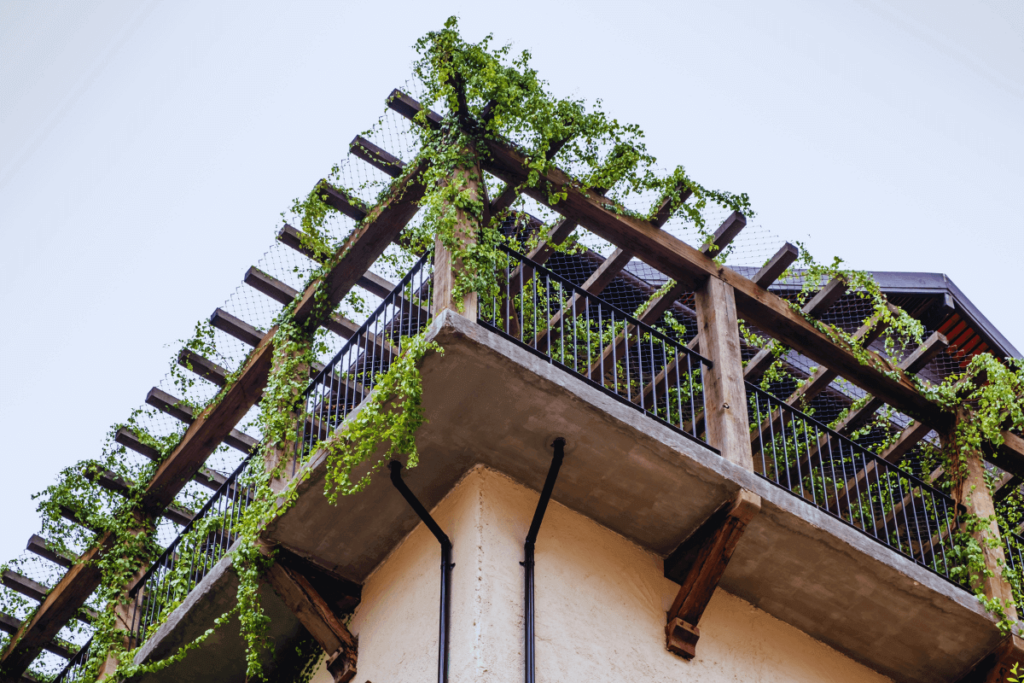 5-Trellises-and-Climbing-Plants