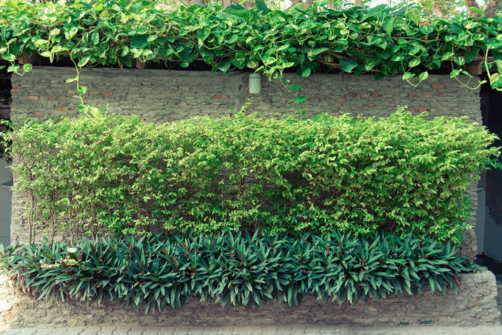 7-Vertical-Greenery-and-Plant-Walls