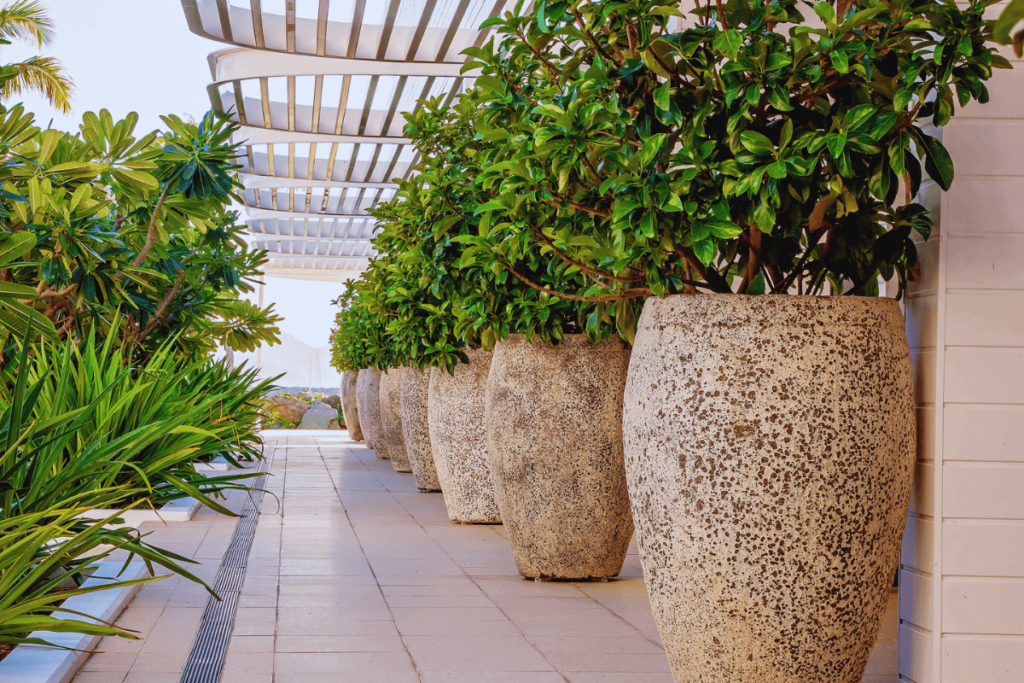 9-Mix-of-Foliage-and-Flowering-Plants