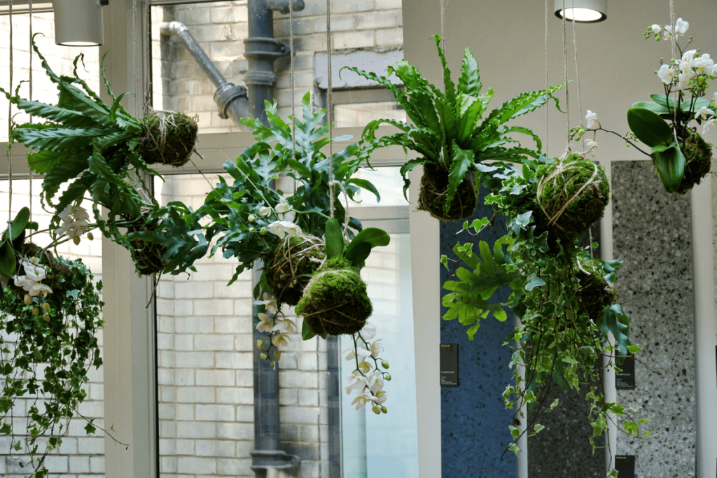 Greenery-as-a-Symphony-of-Life