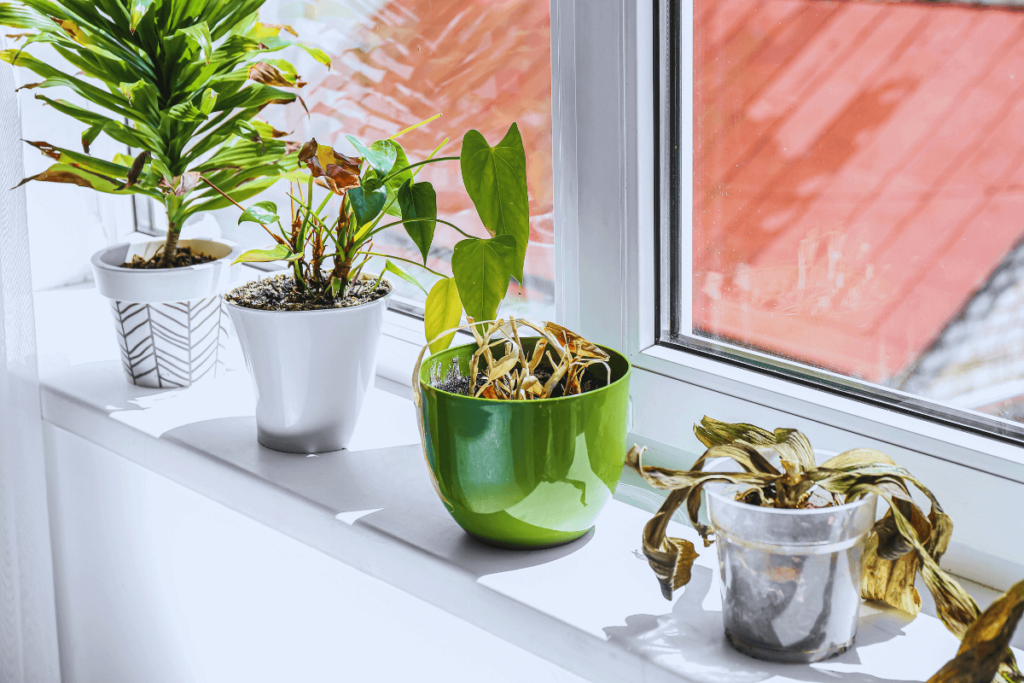 Personalized-Culinary-Nooks