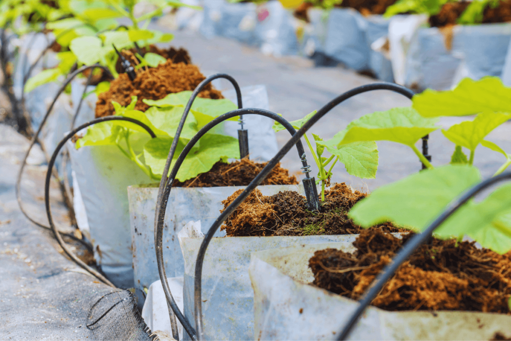 4-Automated-Plant-Care-Systems