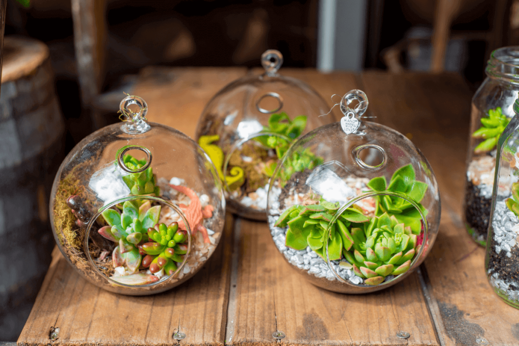 6.-Terrariums-and-Green-Decor-Accents