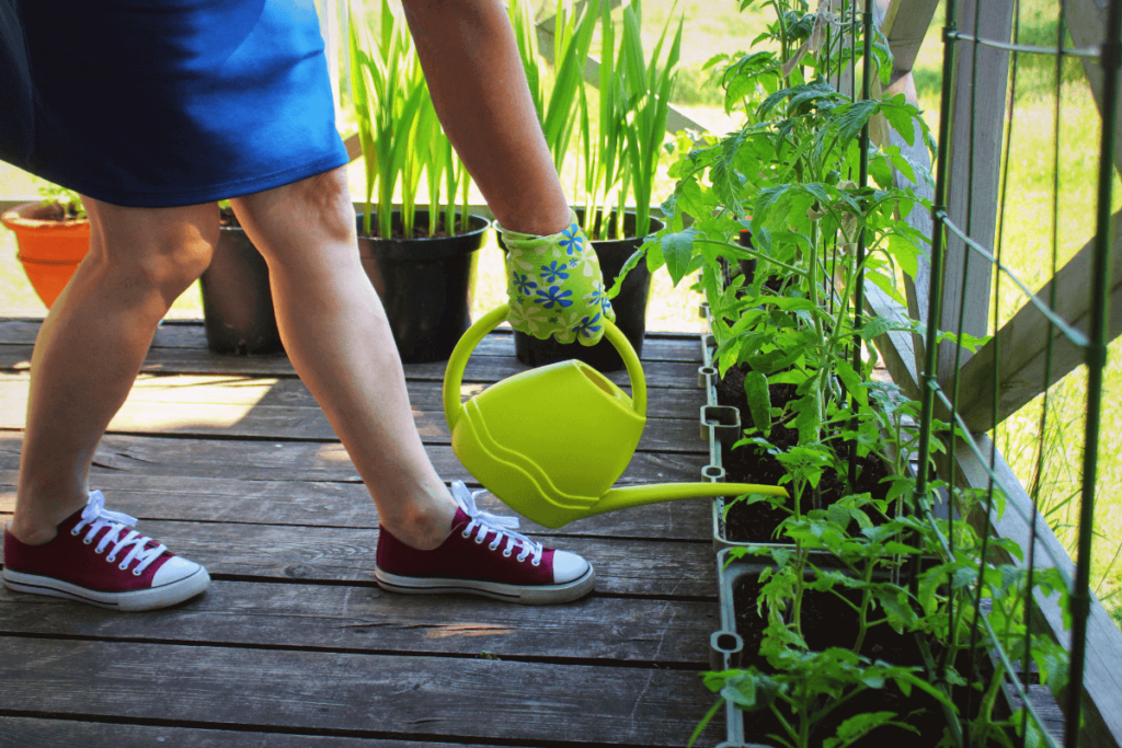 Compact-Container-Gardening