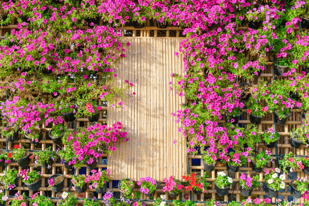Vertical-Garden-Paradise