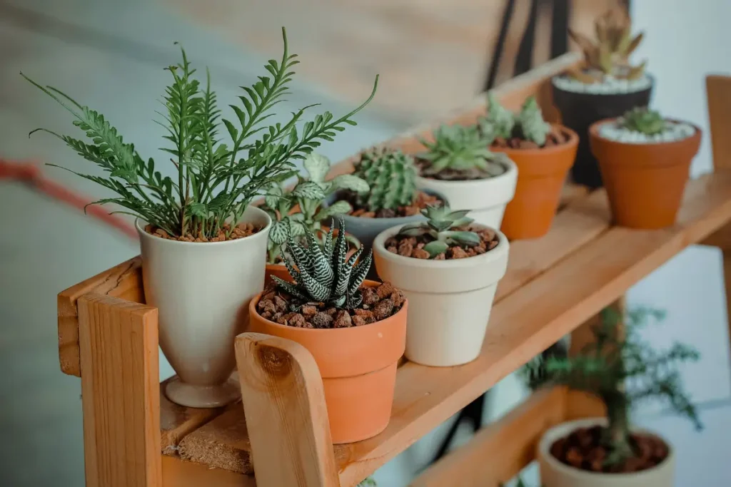 9-Greenery-and-Plants